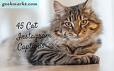 45 Katttexter för Instagram - Meow